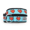 The Worthy Dog Graphic Hearts Dog Collar -Pet Shop GUEST 0cf107f9 a114 4d2c 8f78 70e87343794b