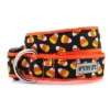 The Worthy Dog Candy Corn Dog Collar -Pet Shop GUEST 1adf7fd7 296e 4cdf 9f34 80a3ec8f8197