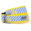 The Worthy Dog Stripe Rubber Duck Dog Collar