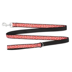 The Worthy Dog Be Mine Dog Leash -Pet Shop GUEST 1eb0dd9a 00c0 4d6a a3a1 fa35701b4e20