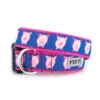 The Worthy Dog Wilbur Pig Dog Collar