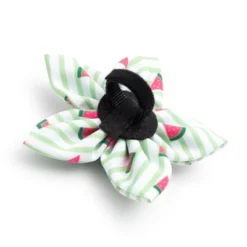 The Worthy Dog Stripe Watermelon Flower Accessory