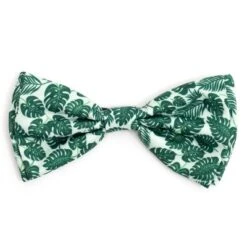 The Worthy Dog Tropical Leaves Bow Tie Accessory 7 The Worthy Dog Tropical Leaves Bow Tie Accessory -Pet Shop GUEST 28047701 40ac 4ce4 be13 c59c6bf85472