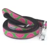 The Worthy Dog Watermelon Dog Leash