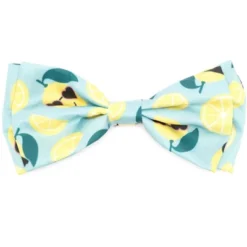 The Worthy Dog Lemons Adjustable Bow Tie Accessory 7 The Worthy Dog Lemons Adjustable Bow Tie Accessory -Pet Shop GUEST 2e107581 a94c 4652 af9b df923e9c59b5