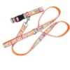 The Worthy Dog Brrr! Pet Leash -Pet Shop GUEST 322f220c 66a8 4a7a b3a2 2ebfdf7570f1 1
