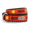 The Worthy Dog Chick Magnet Dog Collar -Pet Shop GUEST 3d43a7fa c0ad 406a a530 c5e975222c25