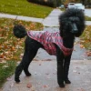 The Worthy Dog Water-Resistant Buffalo Plaid London Raincoat -Pet Shop GUEST 41c93dd8 ef8f 4ddd 8284 777c5b9440b7