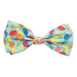 The Worthy Dog Tutti Frutti Adjustable Bow Tie Accessory 11 The Worthy Dog Tutti Frutti Adjustable Bow Tie Accessory -Pet Shop GUEST 42af8f3e b3aa 42ba bb3e 05650b8f35f8