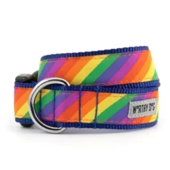 The Worthy Dog Rainbow Dog Collar