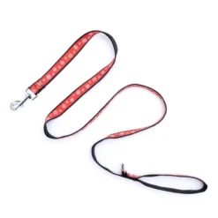 The Worthy Dog Let It Snow Dog Leash -Pet Shop GUEST 45862674 8ddf 4110 89a3 89c96179c0ea