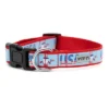 The Worthy Dog Uncle Sam Gnome Adjustable Dog Collar -Pet Shop GUEST 4b461763 b229 4e05 9534 3649fe3a2342