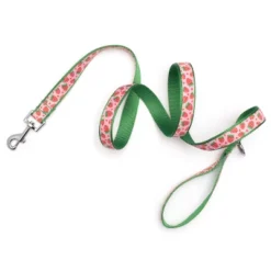 The Worthy Dog Strawberries Pet Leash