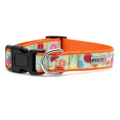 The Worthy Dog Tutti Frutti Adjustable Dog Collar 5 The Worthy Dog Tutti Frutti Adjustable Dog Collar - Image 3