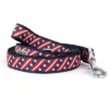 The Worthy Dog Bias Stars And Stripes Dog Leash -Pet Shop GUEST 4fb96593 263c 42e5 a218 17bd4e3fb811