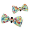 The Worthy Dog Tutti Frutti Adjustable Bow Tie Accessory