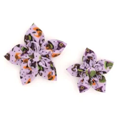 The Worthy Dog Bewitched Flower - Adjustable Pet Collar Accessory -Pet Shop GUEST 5357c7fb 4355 4c7c a972 370af1ece4b6