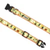The Worthy Dog Witches Brew Adjustable Dog Collar -Pet Shop GUEST 538d1f12 8407 4ae6 9d73 995134ab8cdb