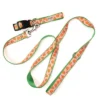 The Worthy Dog Peachy Keen Dog Collar -Pet Shop GUEST 53f5da4d 2f44 4fbc bc44 11dcc6ab2f37