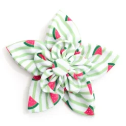 The Worthy Dog Stripe Watermelon Flower Accessory -Pet Shop GUEST 5d1e7d45 1736 405d 8755 b11f999f3da2