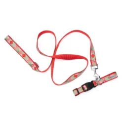 The Worthy Dog Americana Holiday Adjustable Dog Collar