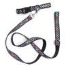 The Worthy Dog Carnival Check Adjustable Dog Collar -Pet Shop GUEST 68f23128 ddc0 47f0 bc51 6852906c4b36