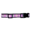 The Worthy Dog Skeletons Dog Collar