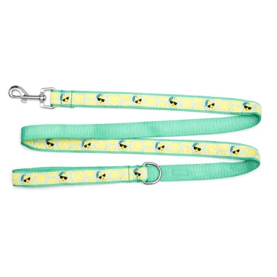 The Worthy Dog Lemons Pet Leash 5 The Worthy Dog Lemons Pet Leash - Image 3