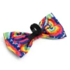 The Worthy Dog Kaleidoscope Bow Tie Accessory -Pet Shop GUEST 7544a394 74df 4ffe 8f1e d58a4d54cfbd
