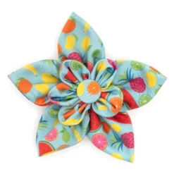 The Worthy Dog Tutti Frutti Adjustable Flower Accessory -Pet Shop GUEST a0009e35 efd9 44e7 b326 db77bcec37aa