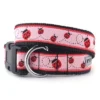 The Worthy Dog Ladybug Dog Collar -Pet Shop GUEST a7498e4b baca 4004 a6ec f2cf239342d9