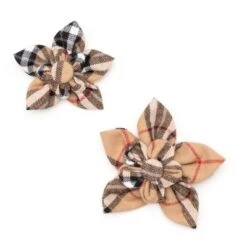 Pet Shop 8 Pet Shop -Pet Shop GUEST a78dd582 9cc5 471d 980e df117363fe68