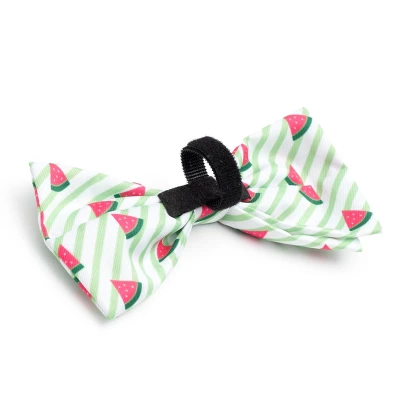 The Worthy Dog Stripe Watermelon Bow Tie Accessory 3 The Worthy Dog Stripe Watermelon Bow Tie Accessory