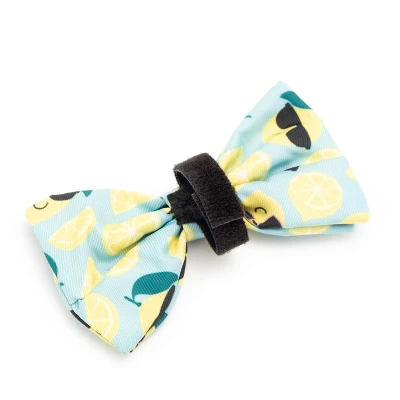 The Worthy Dog Lemons Adjustable Bow Tie Accessory 3 The Worthy Dog Lemons Adjustable Bow Tie Accessory