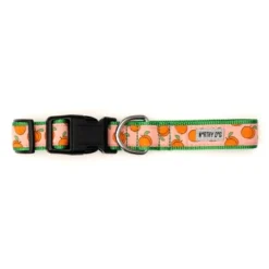 The Worthy Dog Peachy Keen Dog Collar -Pet Shop GUEST b401fbc2 88b4 4978 b3bb 3311178d8dff