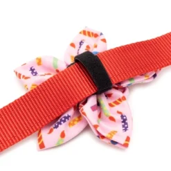 The Worthy Dog It's My Birthday Adjustable Flower Accessory