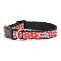 The Worthy Dog Be Mine Dog Collar -Pet Shop GUEST c0fcbc34 0c51 4a18 98b5 18936ae47c3f