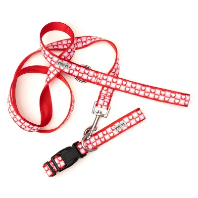 The Worthy Dog Colorblock Hearts Dog Leash 3 The Worthy Dog Colorblock Hearts Dog Leash
