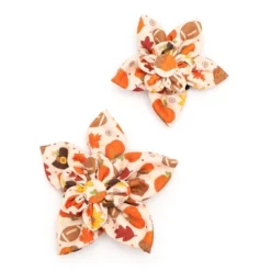 Pet Shop 20 Pet Shop -Pet Shop GUEST d5cd48a8 1e6d 4586 8c3b 03c6f204a853