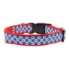 The Worthy Dog Daisies Dog Collar