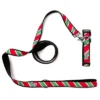 The Worthy Dog Holiday Stripe Dog Leash -Pet Shop GUEST f193b2f1 414d 4915 817a 9b0987845b52