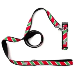 The Worthy Dog Holiday Stripe Dog Leash