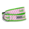 The Worthy Dog Stripe Alligator Dog Collar -Pet Shop GUEST f5da67df e9a0 408a a267 b8f236f8102a
