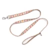 The Worthy Dog Wild Wild West Pet Leash -Pet Shop GUEST f7b256af fd77 41ac 8ac8 de86dab9ef43