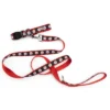 The Worthy Dog Santa Pet Leash